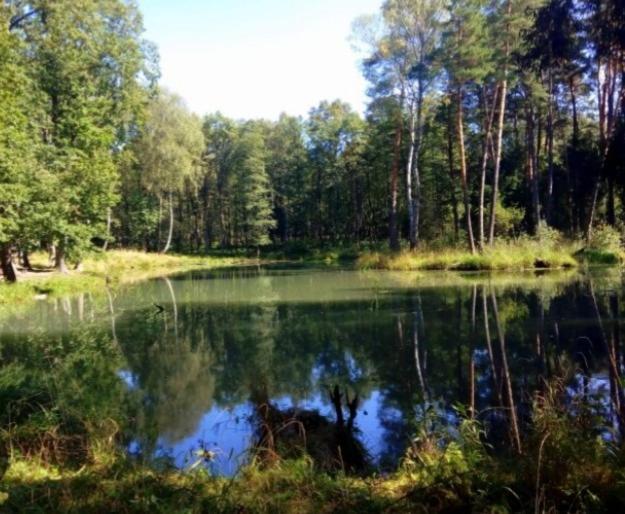 Apartament Pod Lasem Tenczynek Esterno foto